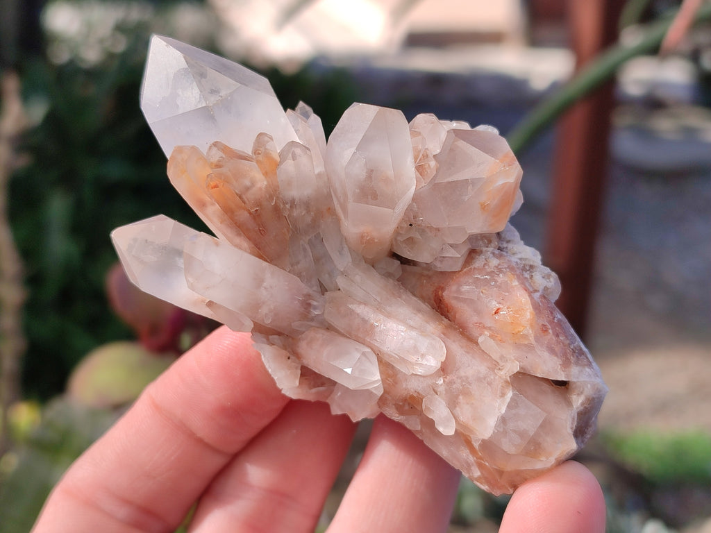 Natural White Multi Terminated Quartz Clusters x 12 From Madagascar - Toprock Gemstones and Minerals 