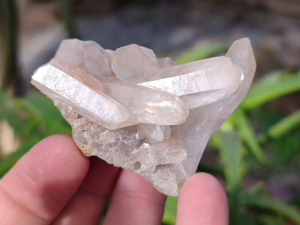 Natural White Multi Terminated Quartz Clusters x 12 From Madagascar - Toprock Gemstones and Minerals 