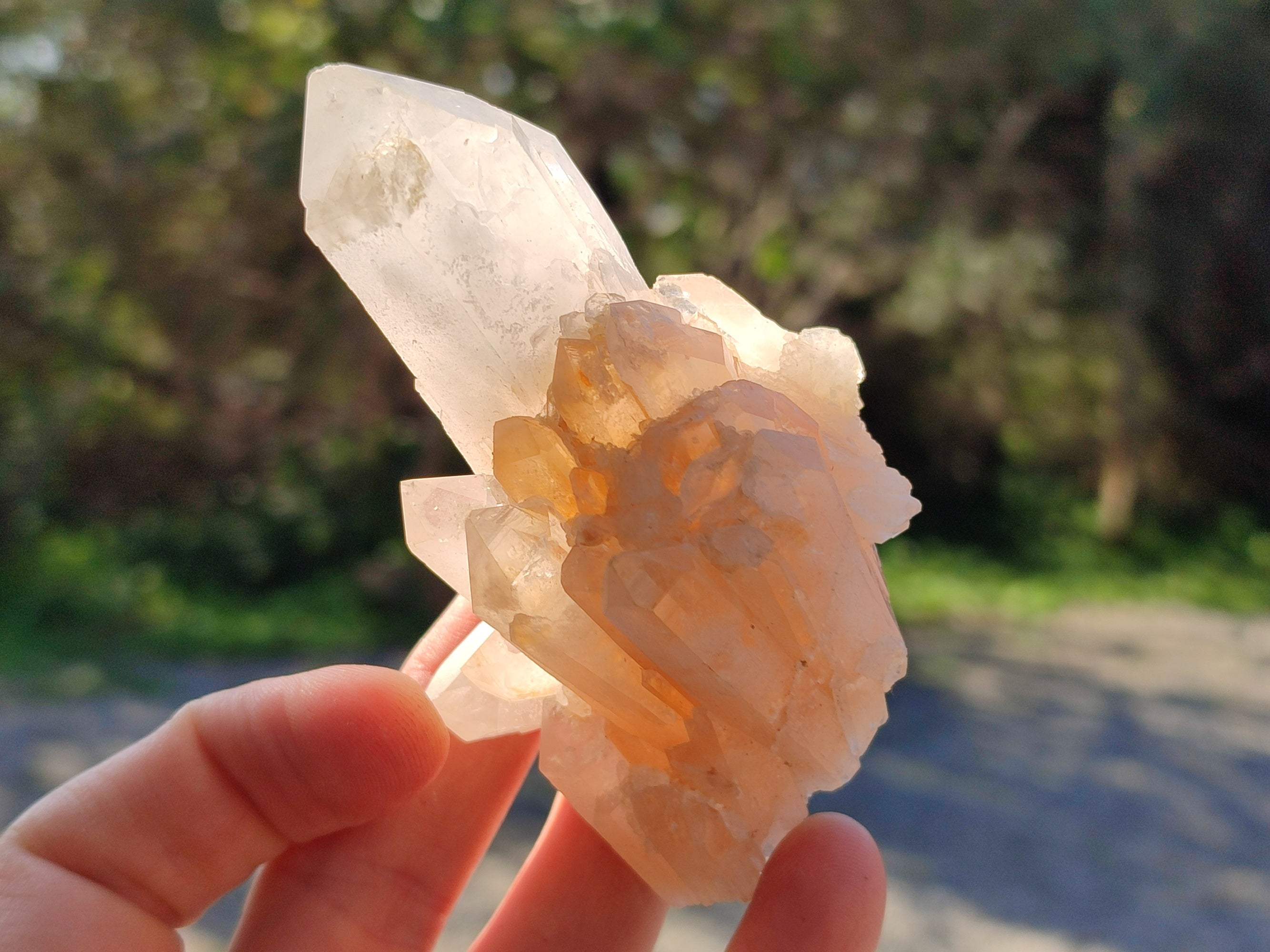Natural White Multi Terminated Quartz Clusters x 12 From Madagascar - Toprock Gemstones and Minerals 