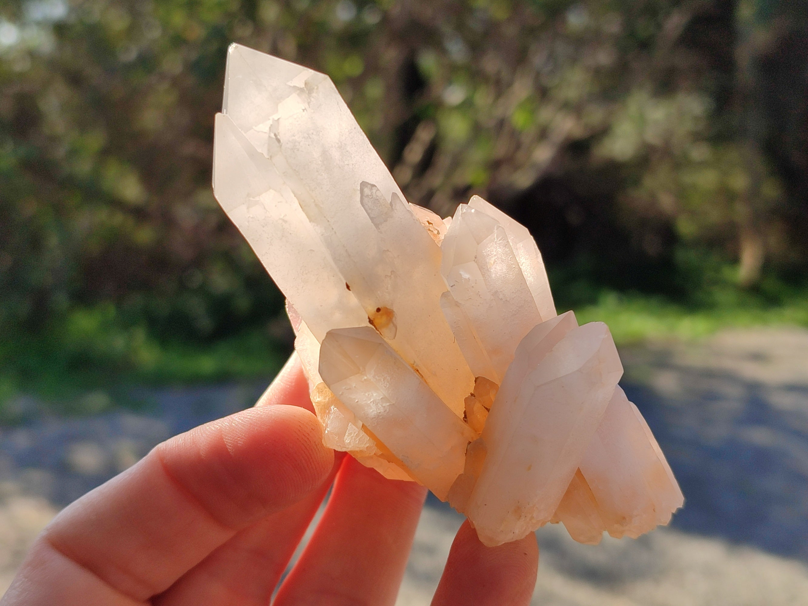 Natural White Multi Terminated Quartz Clusters x 12 From Madagascar - Toprock Gemstones and Minerals 
