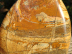 Polished Picture Stone Jasper Standing Free Forms x 2 From Ais-Ais, Namibia - Toprock Gemstones and Minerals 