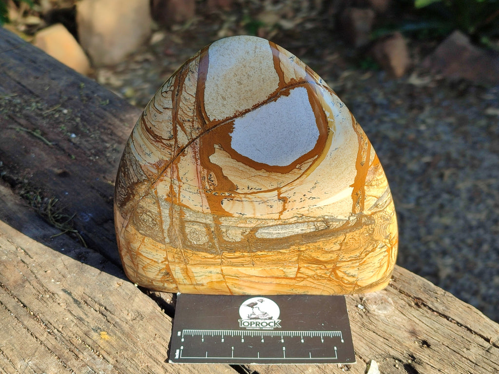 Polished Picture Stone Jasper Standing Free Forms x 2 From Ais-Ais, Namibia - Toprock Gemstones and Minerals 