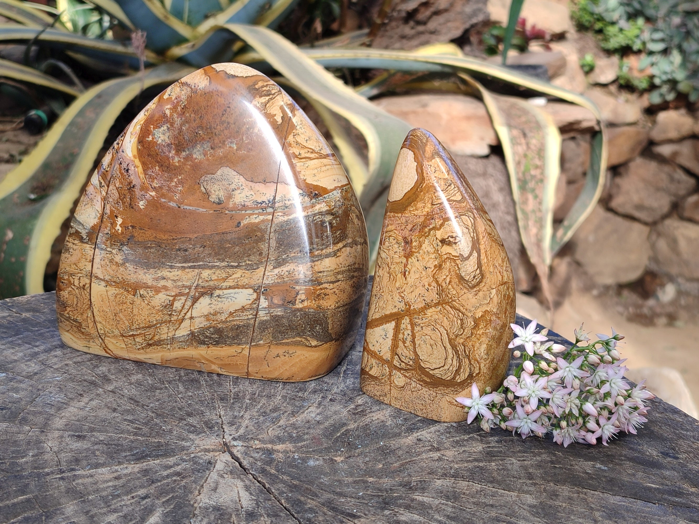 Polished Picture Stone Jasper Standing Free Forms x 2 From Ais-Ais, Namibia - Toprock Gemstones and Minerals 