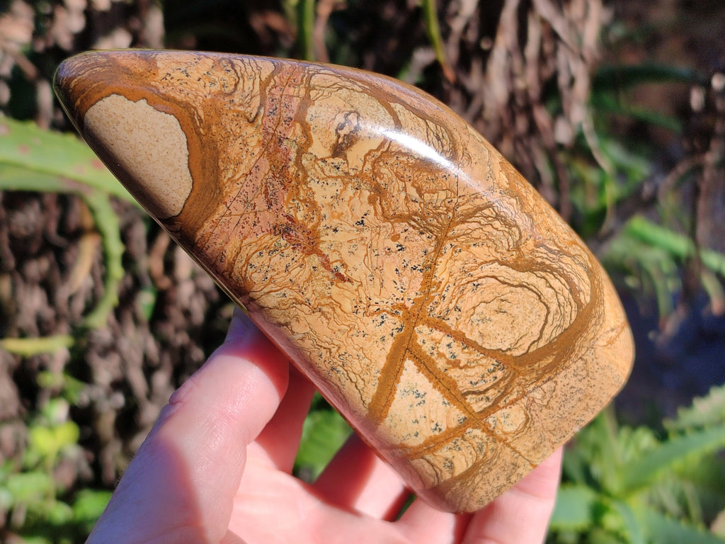 Polished Picture Stone Jasper Standing Free Forms x 2 From Ais-Ais, Namibia - Toprock Gemstones and Minerals 
