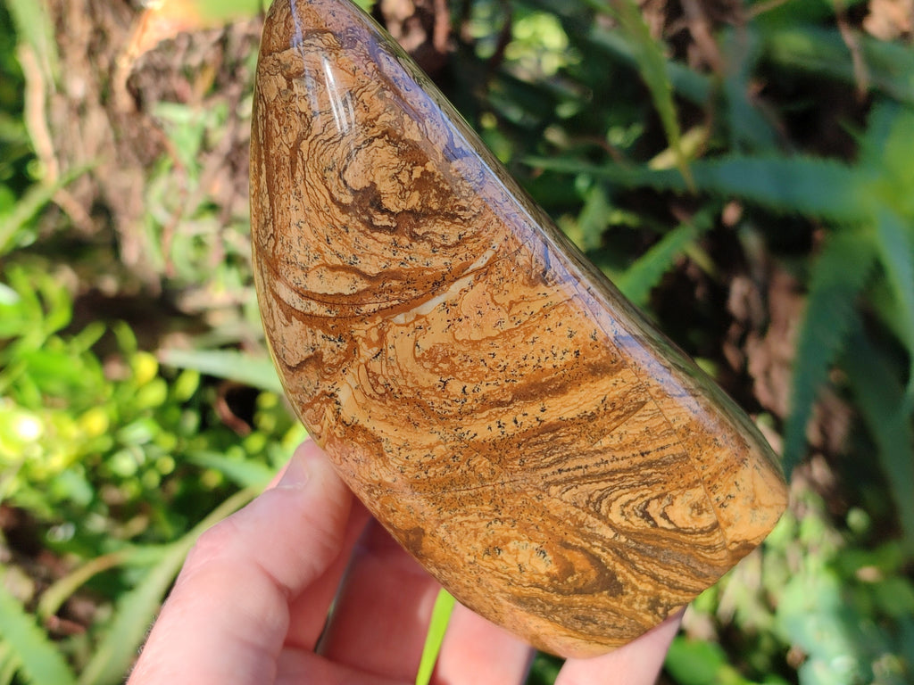 Polished Picture Stone Jasper Standing Free Forms x 2 From Ais-Ais, Namibia - Toprock Gemstones and Minerals 