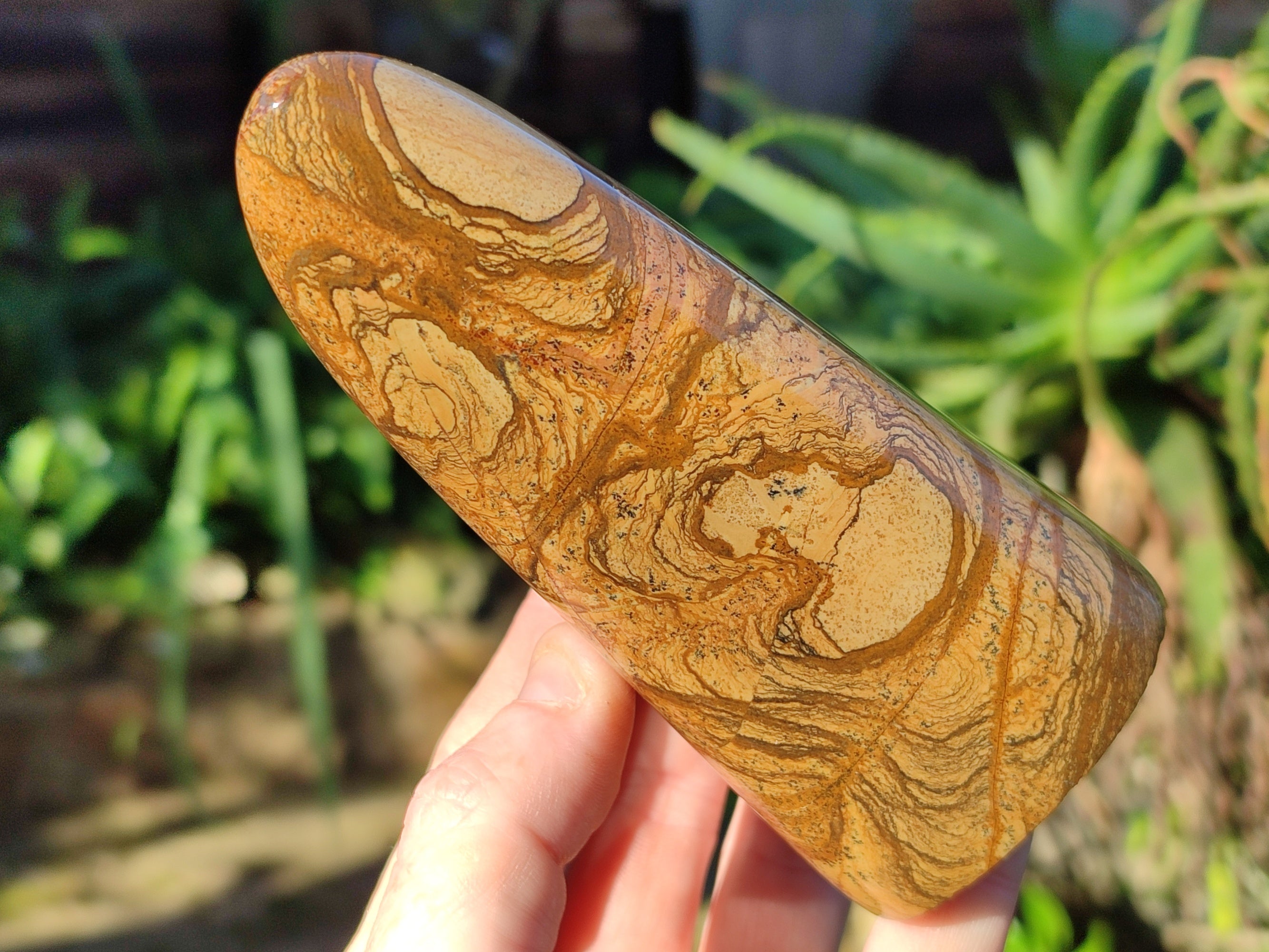 Polished Picture Stone Jasper Standing Free Forms x 2 From Ais-Ais, Namibia - Toprock Gemstones and Minerals 