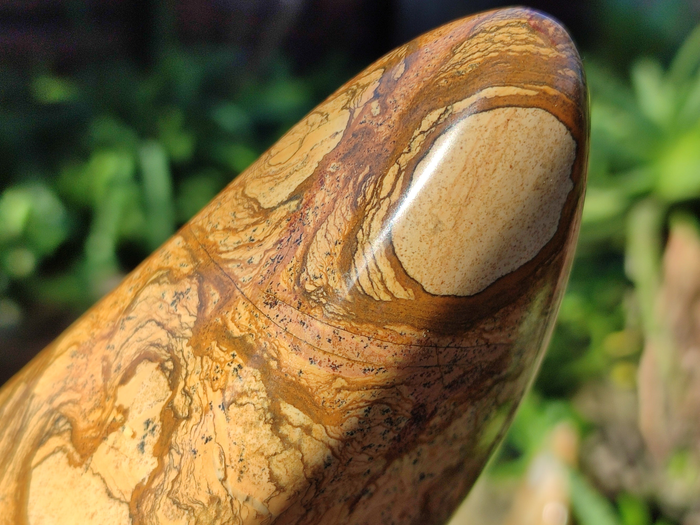 Polished Picture Stone Jasper Standing Free Forms x 2 From Ais-Ais, Namibia - Toprock Gemstones and Minerals 