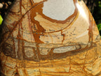 Polished Picture Stone Jasper Standing Free Forms x 2 From Ais-Ais, Namibia - Toprock Gemstones and Minerals 