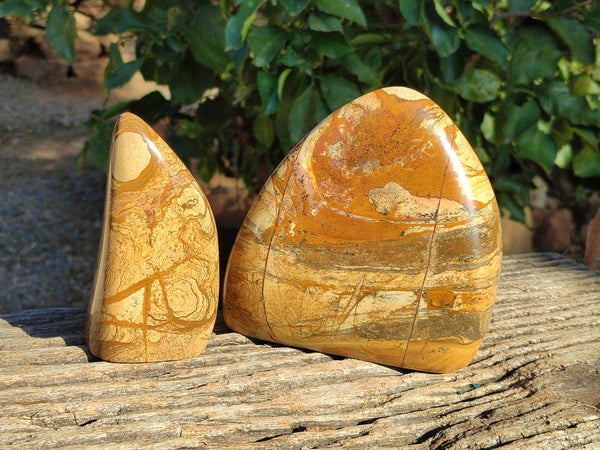 Polished Picture Stone Jasper Standing Free Forms x 2 From Ais-Ais, Namibia