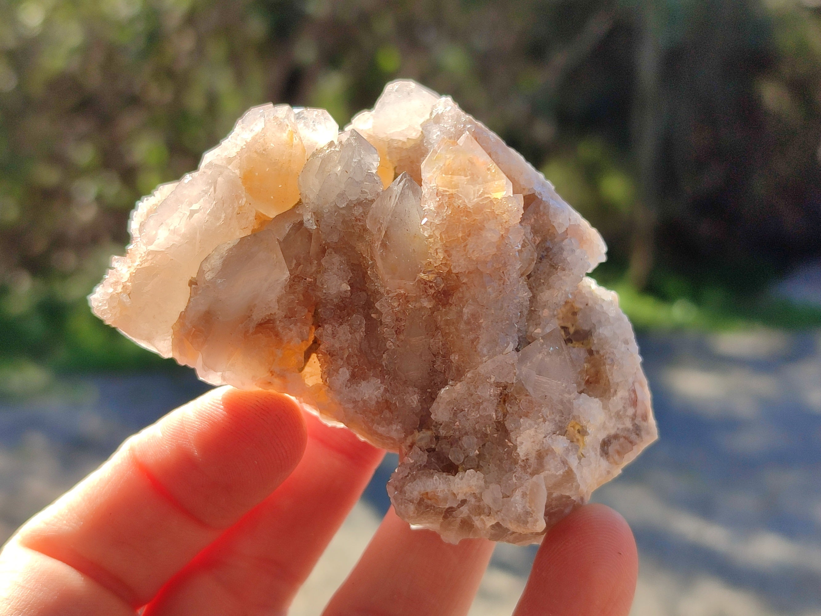 Natural Golden Hematoid Coated Fairy Spirit Quartz Clusters x 12 From Boekenhouthoek, South Africa - Toprock Gemstones and Minerals 