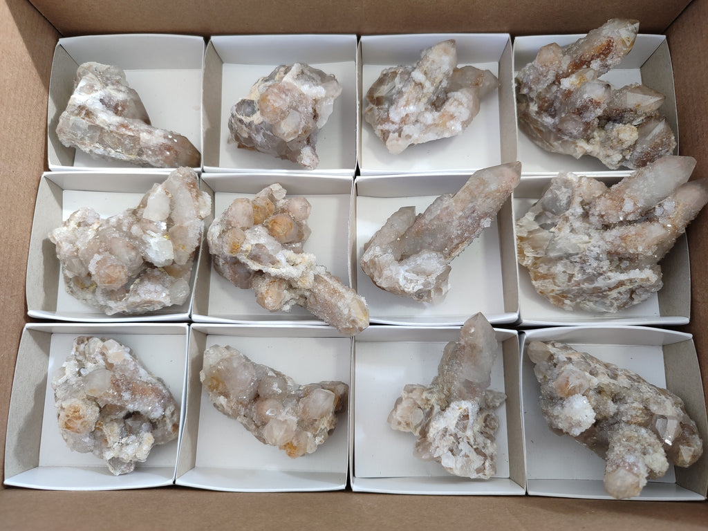 Natural Golden Hematoid Coated Fairy Spirit Quartz Clusters x 12 From Boekenhouthoek, South Africa - Toprock Gemstones and Minerals 