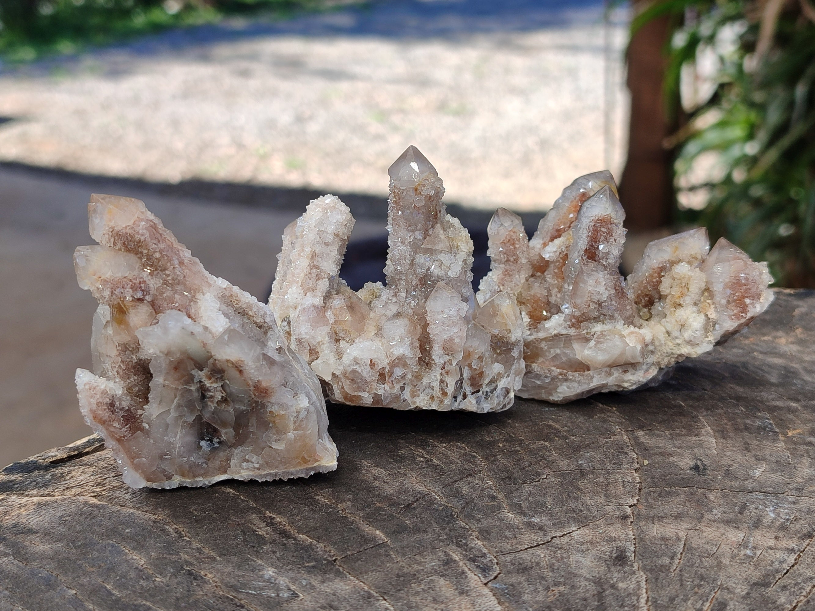 Natural Golden Hematoid Coated Fairy Spirit Quartz Clusters x 12 From Boekenhouthoek, South Africa - Toprock Gemstones and Minerals 
