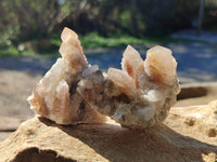 Natural Golden Hematoid Coated Fairy Spirit Quartz Clusters x 12 From Boekenhouthoek, South Africa - Toprock Gemstones and Minerals 