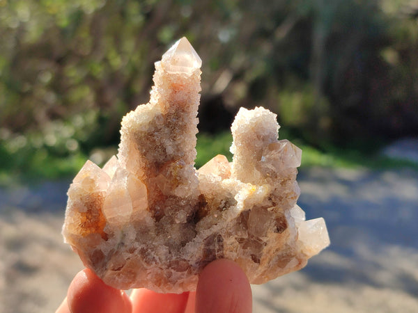 Natural Golden Hematoid Coated Fairy Spirit Quartz Clusters x 12 From Boekenhouthoek, South Africa - Toprock Gemstones and Minerals 