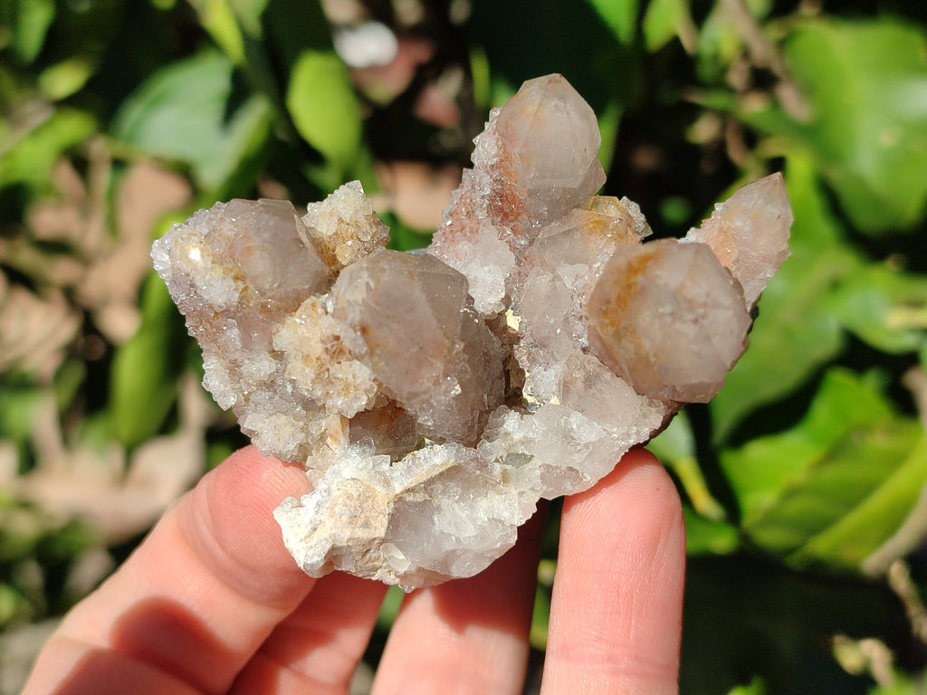 Natural Golden Hematoid Coated Fairy Spirit Quartz Clusters x 12 From Boekenhouthoek, South Africa - Toprock Gemstones and Minerals 