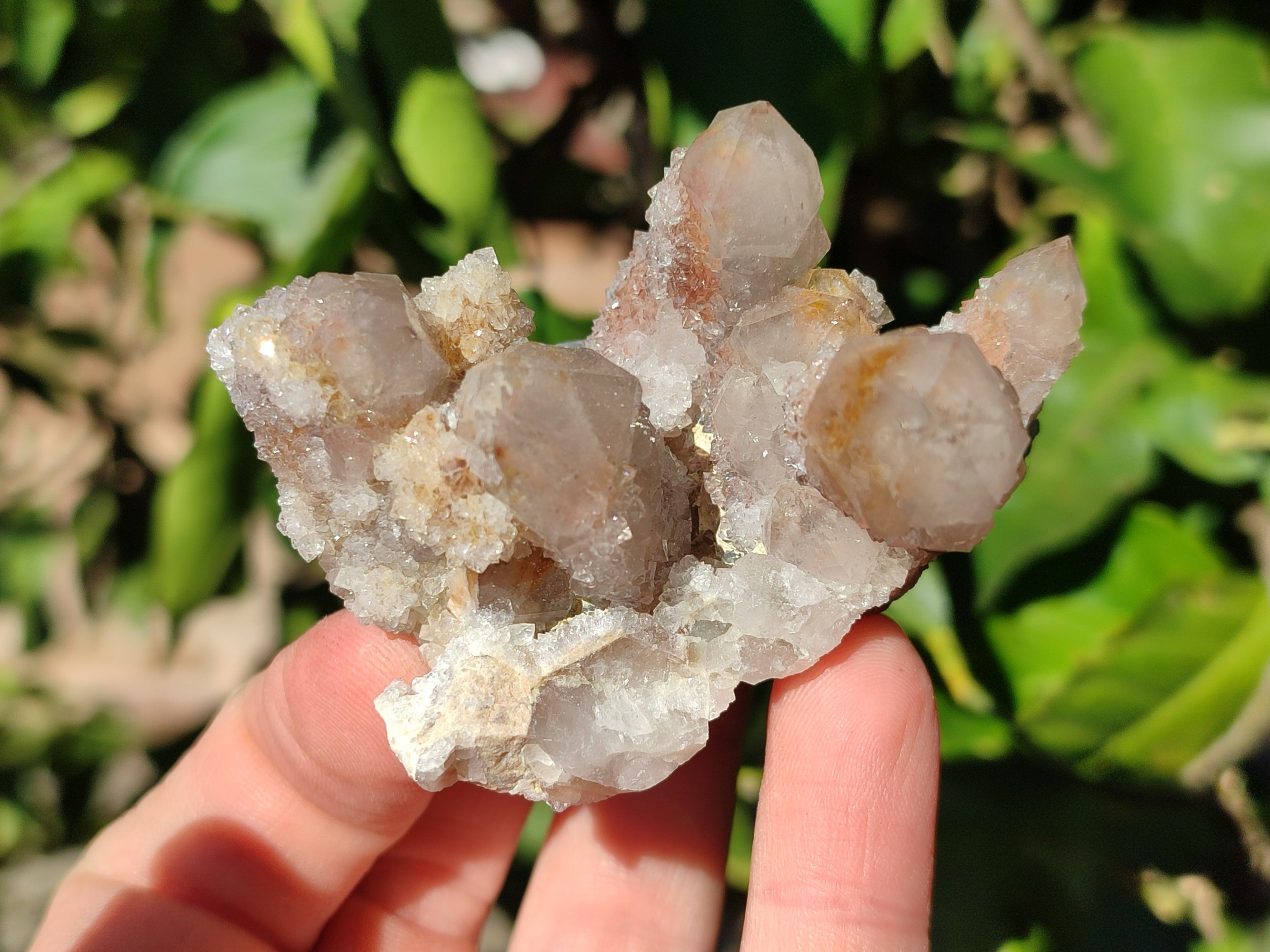 Natural Golden Hematoid Coated Fairy Spirit Quartz Clusters x 12 From Boekenhouthoek, South Africa - Toprock Gemstones and Minerals 
