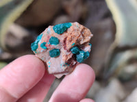 Natural Mini Dioptase On Dolomite Specimens x 35 From Likasi, Congo - Toprock Gemstones and Minerals 