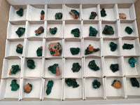 Natural Mini Dioptase On Dolomite Specimens x 35 From Likasi, Congo - Toprock Gemstones and Minerals 