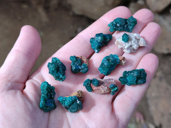 Natural Mini Dioptase On Dolomite Specimens x 35 From Likasi, Congo - Toprock Gemstones and Minerals 