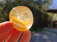 Polished Golden Healer Quartz Palm Stones x 24 From Madagascar