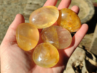Polished Golden Healer Quartz Palm Stones x 24 From Madagascar