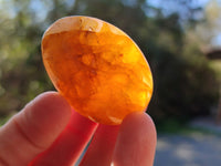 Polished Golden Healer Quartz Palm Stones x 24 From Madagascar