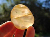 Polished Golden Healer Quartz Palm Stones x 24 From Madagascar