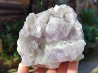 Natural Jacaranda Amethyst Quartz Cluster x 3 From Mumbwa, Zambia - Toprock Gemstones and Minerals 