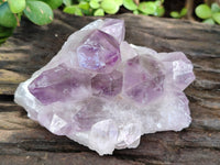 Natural Jacaranda Amethyst Quartz Cluster x 3 From Mumbwa, Zambia - Toprock Gemstones and Minerals 