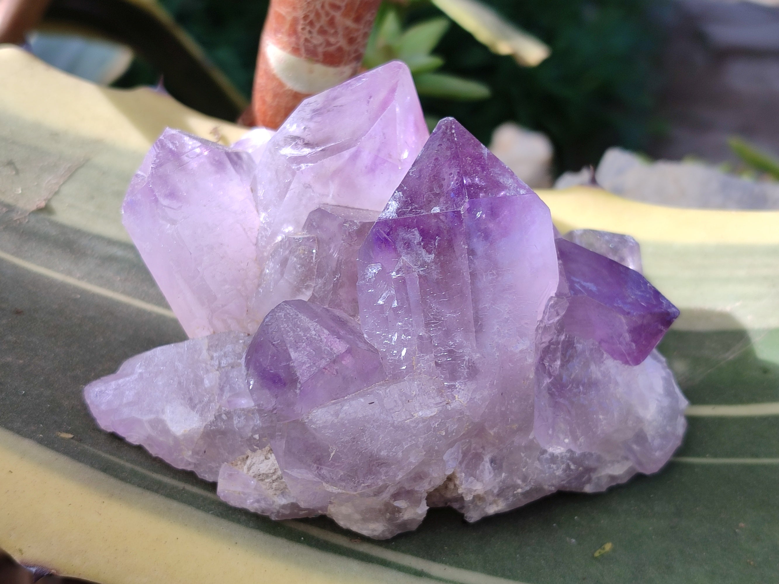 Natural Jacaranda Amethyst Quartz Cluster x 3 From Mumbwa, Zambia - Toprock Gemstones and Minerals 