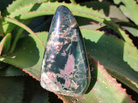 Polished Bloodstone Standing Free Forms x 2 From Swaziland - Toprock Gemstones and Minerals 