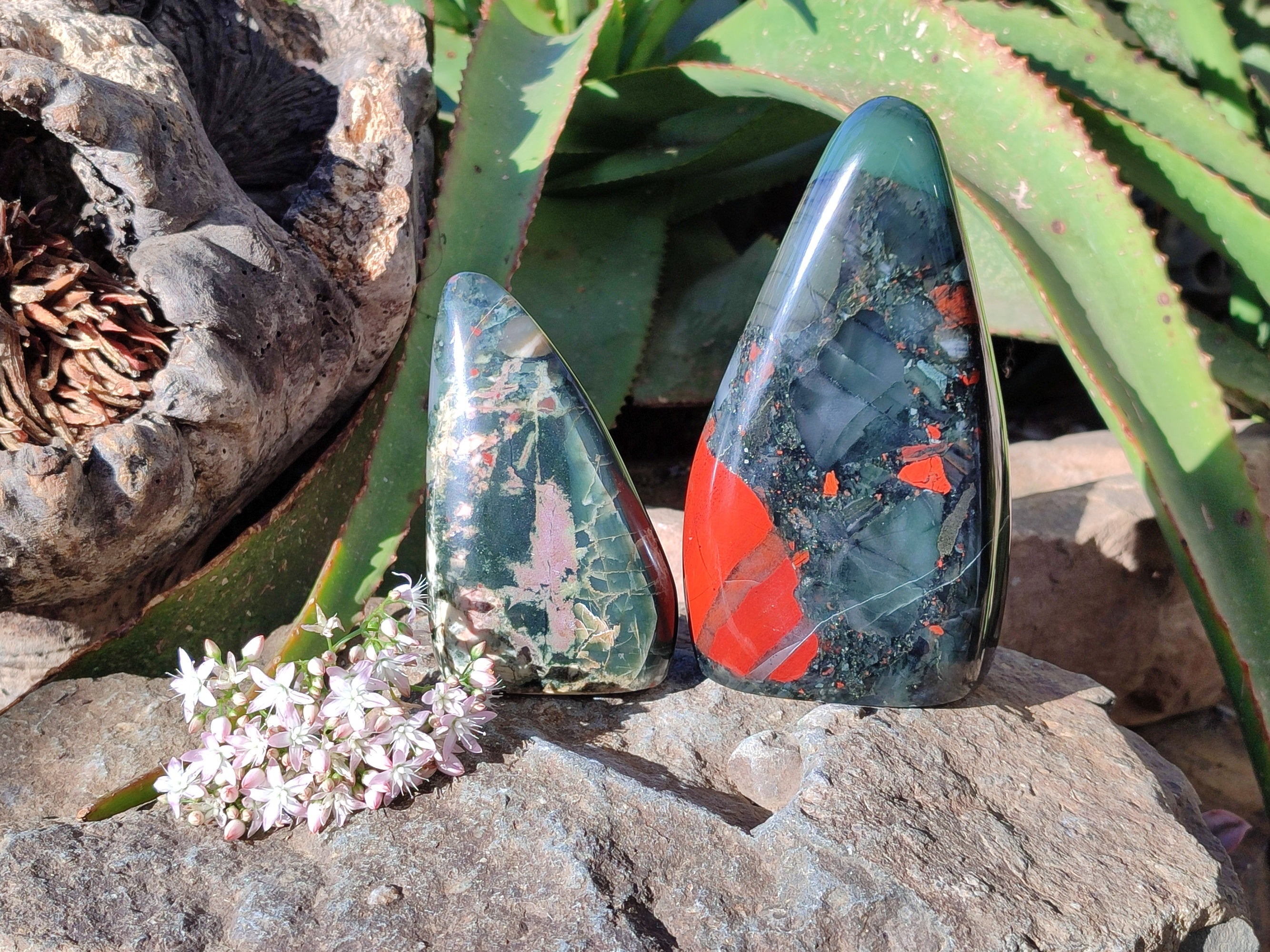 Polished Bloodstone Standing Free Forms x 2 From Swaziland - Toprock Gemstones and Minerals 