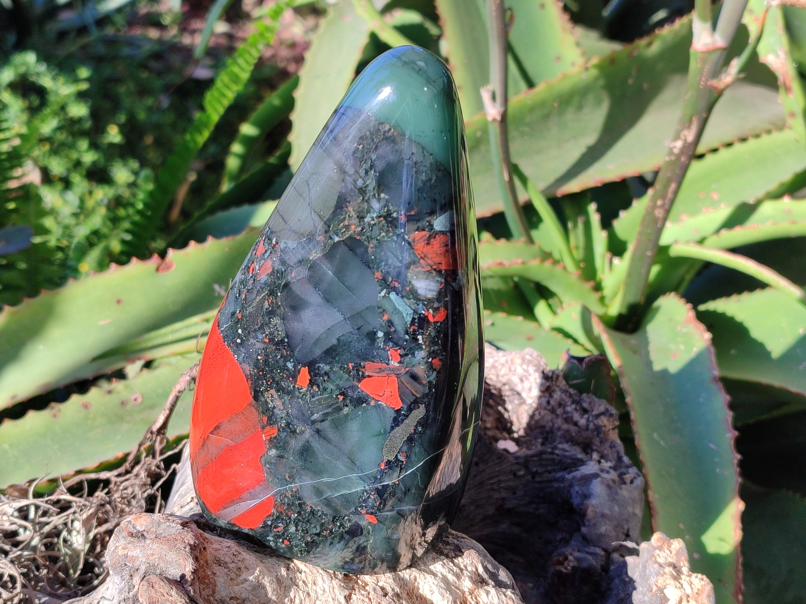 Polished Bloodstone Standing Free Forms x 2 From Swaziland - Toprock Gemstones and Minerals 