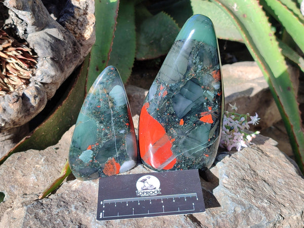 Polished Bloodstone Standing Free Forms x 2 From Swaziland