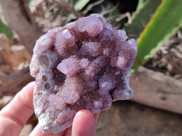 Natural Amethyst Spirit Quartz Clusters x 12 From Boekenhouthoek, South Africa