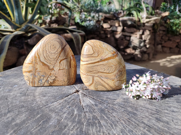Polished Picture Stone Jasper Standing Free Forms x 2 From Ais-Ais, Namibia