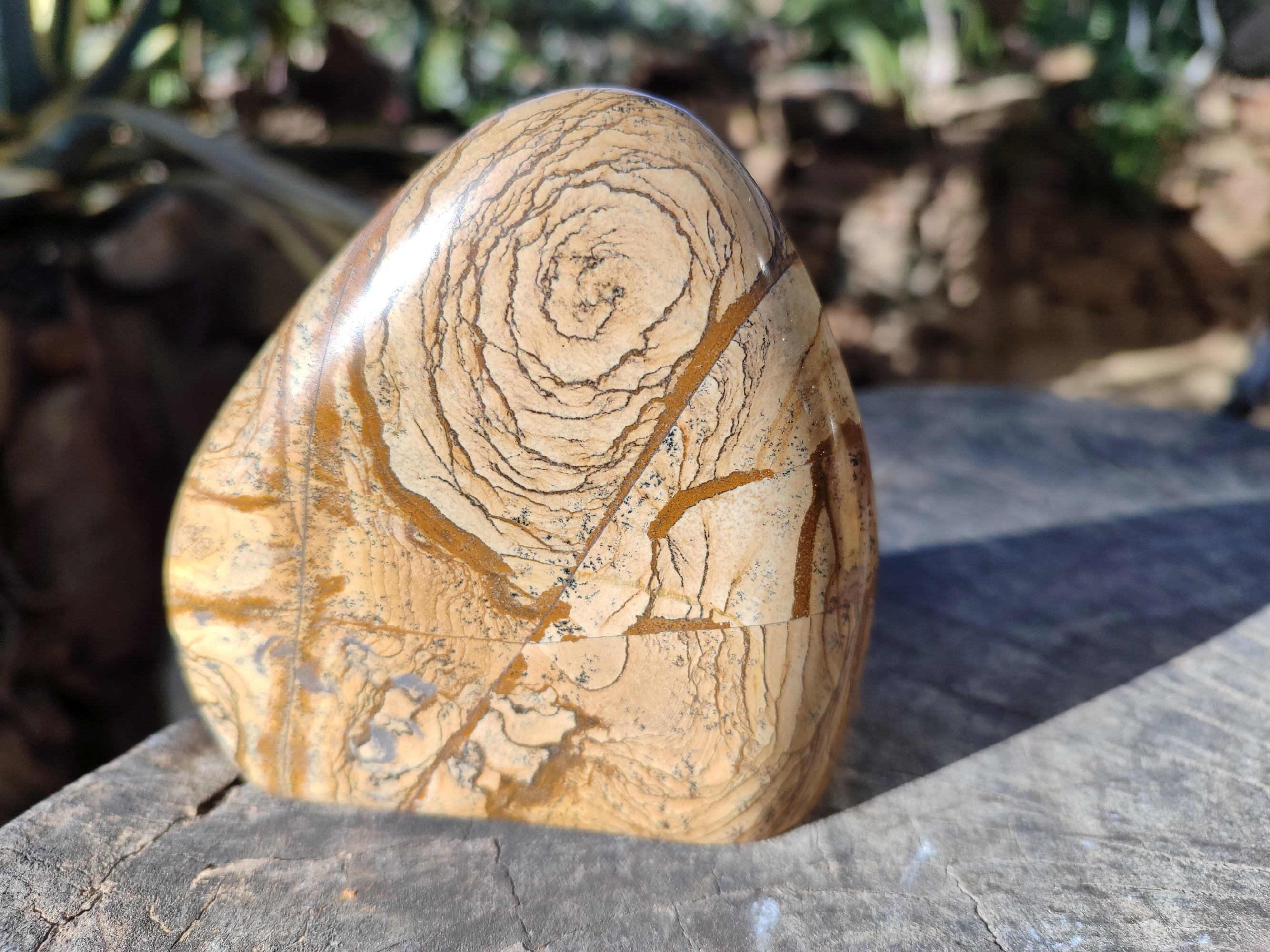 Polished Picture Stone Jasper Standing Free Forms x 2 From Ais-Ais, Namibia - Toprock Gemstones and Minerals 