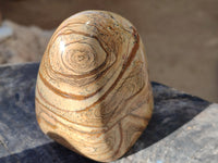 Polished Picture Stone Jasper Standing Free Forms x 2 From Ais-Ais, Namibia - Toprock Gemstones and Minerals 