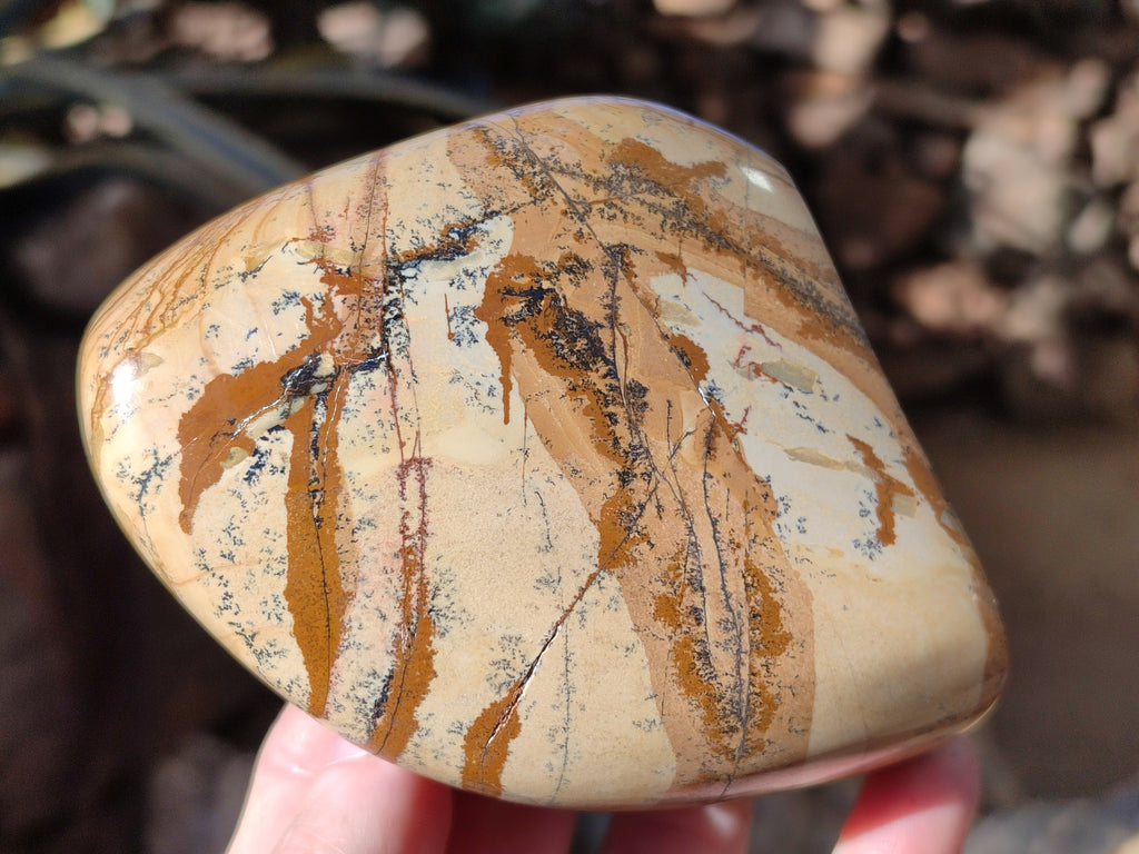 Polished Picture Stone Jasper Standing Free Forms x 2 From Ais-Ais, Namibia - Toprock Gemstones and Minerals 