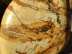 Polished Picture Stone Jasper Standing Free Forms x 2 From Ais-Ais, Namibia - Toprock Gemstones and Minerals 