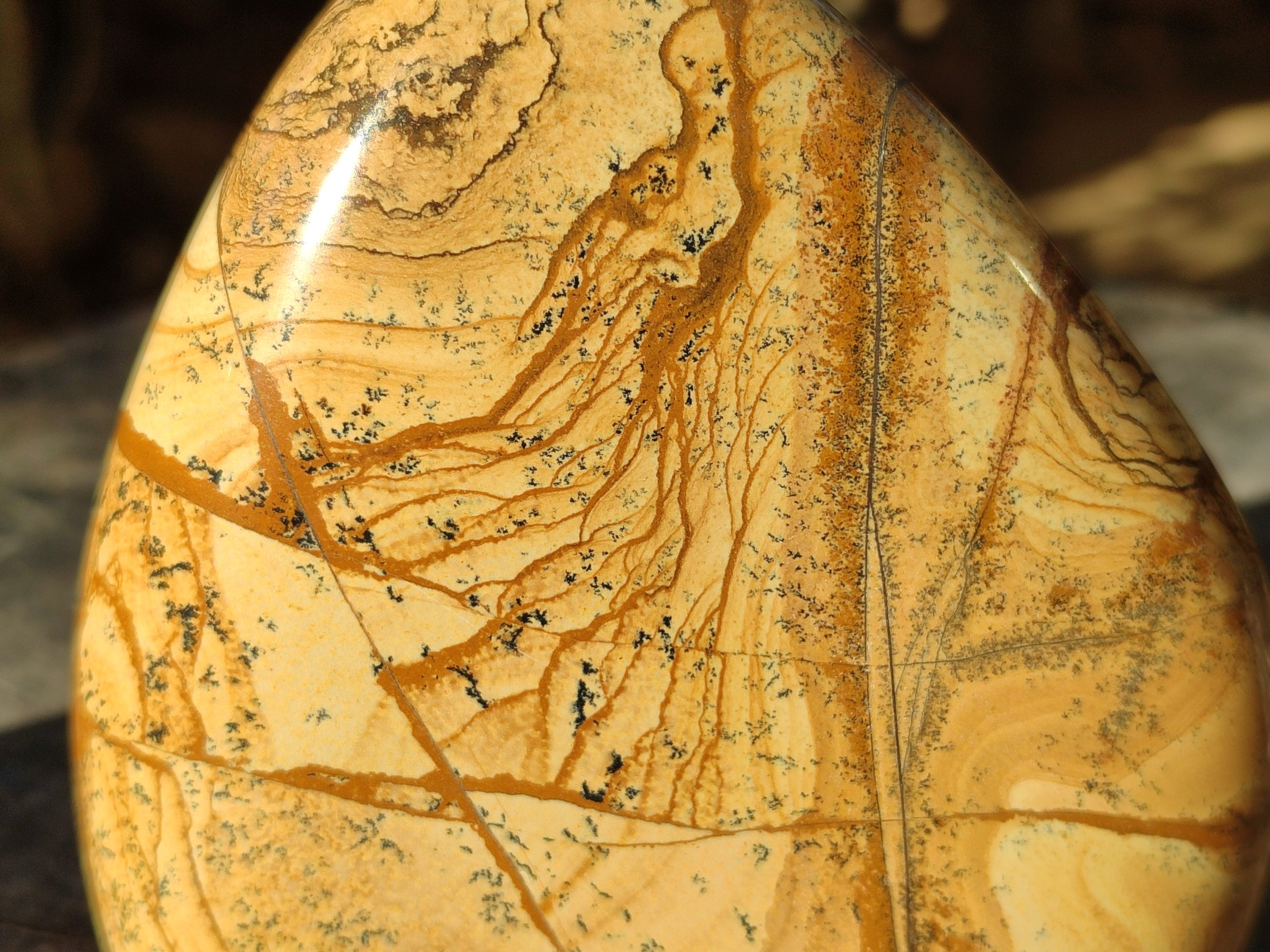 Polished Picture Stone Jasper Standing Free Forms x 2 From Ais-Ais, Namibia - Toprock Gemstones and Minerals 