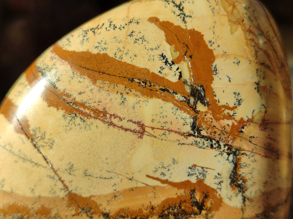 Polished Picture Stone Jasper Standing Free Forms x 2 From Ais-Ais, Namibia - Toprock Gemstones and Minerals 