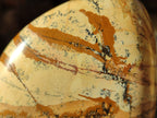 Polished Picture Stone Jasper Standing Free Forms x 2 From Ais-Ais, Namibia - Toprock Gemstones and Minerals 