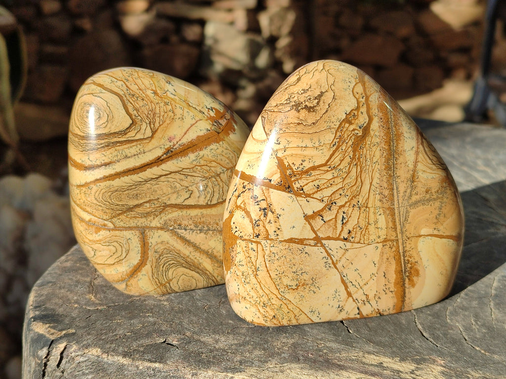 Polished Picture Stone Jasper Standing Free Forms x 2 From Ais-Ais, Namibia - Toprock Gemstones and Minerals 