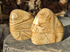 Polished Picture Stone Jasper Standing Free Forms x 2 From Ais-Ais, Namibia - Toprock Gemstones and Minerals 