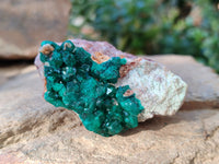 Natural Dioptase with Chrysocolla, Malachite and Shattuckite Specimens x 6 From Likasi, Congo - Toprock Gemstones and Minerals 
