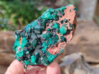 Natural Dioptase with Chrysocolla, Malachite and Shattuckite Specimens x 6 From Likasi, Congo - Toprock Gemstones and Minerals 