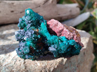 Natural Dioptase with Chrysocolla, Malachite and Shattuckite Specimens x 6 From Likasi, Congo - Toprock Gemstones and Minerals 