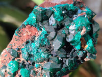 Natural Dioptase with Chrysocolla, Malachite and Shattuckite Specimens x 6 From Likasi, Congo - Toprock Gemstones and Minerals 
