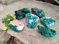 Natural Dioptase with Chrysocolla, Malachite and Shattuckite Specimens x 6 From Likasi, Congo - Toprock Gemstones and Minerals 
